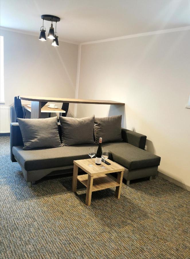 Loft Aparthotel Złocieniec エクステリア 写真